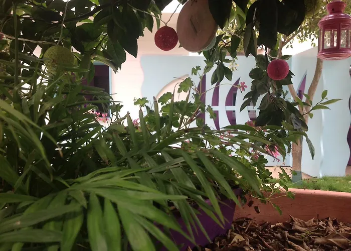 Nocleg ze śniadaniem A Casa Di Lolu 4*