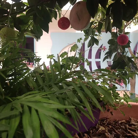 Bed & Breakfast A Casa Di Lolu 4*