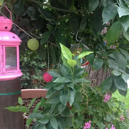 A Casa Di Lolu Bed & Breakfast 4*