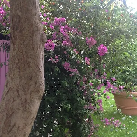 A Casa Di Lolu Grottammare