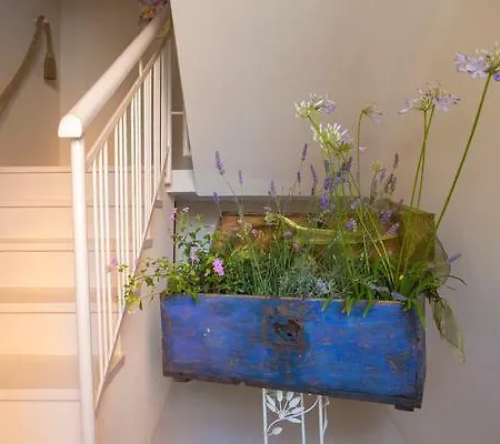 Bed & Breakfast A Casa Di Lolu